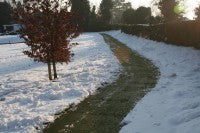 Staffordshire-snow-golf-059_website.jpg