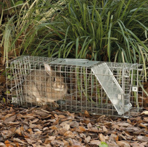Rabbits Cage Trap