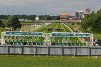 York Racecourse.jpg