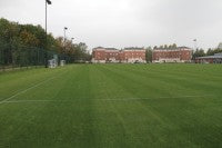 natural grass outdoor pitches