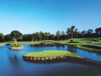 17th at sawgrass.jpg