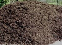 Topsoil.jpg