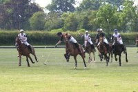 Polo-Rugby-club-tournament-.jpg