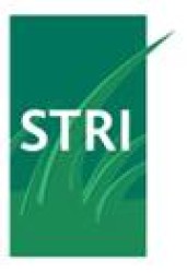 stri