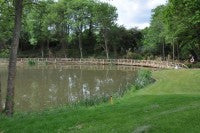 AFTER   The Sundridge Park Golf Club pond in June 2012 with the Diamond Jubilee bridge built from the club\'s own trees by forester Terry Gladwell  DSC 0725   Copy