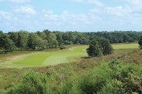 Sunningdale FairwayMain