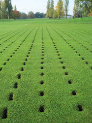 Greg Evans Golf Green Aeration