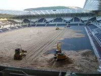 ospreys-laying-sand.jpg