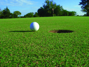 GolfBall&hole