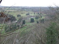 Bridgnorth The View from High Rock shows high number of non indigenous trees