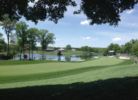 14th Hole Quail Hollow Club