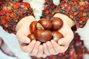 A handful of autumn- Julia Plant