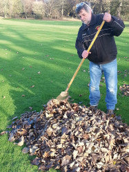 TorrisholmeCC EddyBaytonLeafCollecting2