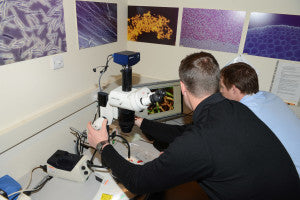 Microscopy demo 1 mr