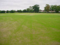 011102new pitch 1.jpg