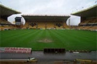 molineux pitch.jpg