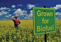 Biofuel