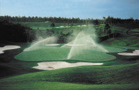 IrrigationToro3.jpg