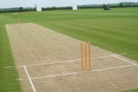 cricket-pitchand-stumps.jpg