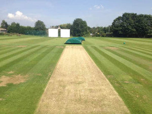 Wickford CC MatchStrip