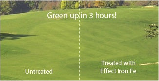 Greenmaster Effect Liquid Iron - Before & After