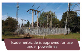 Icade herbicide is approved for use under powerlines
