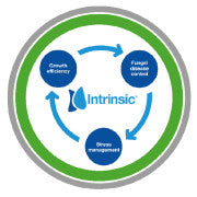 Insignia - intrinsic effect