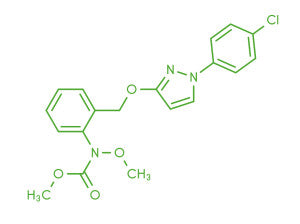 Insignia® contains pyraclostrobin an active substance from the strobilurin family of fungicides.