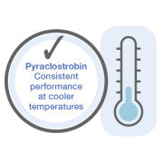 Insignia - Pyraclostrobin cooler temperatures