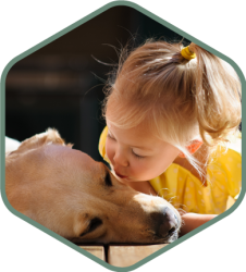 MossOff is Safe for Pets and Kids