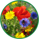 Bird & Insect Attraction Wildflower Seeds