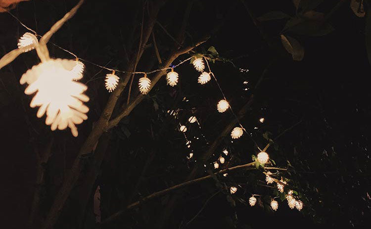 Pinecone-shaped lights are hung throughout tree branches