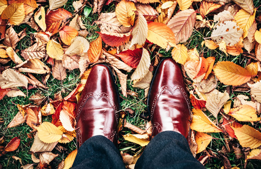 Jemand, der in Schuhen auf gefallenen Herbstblättern steht