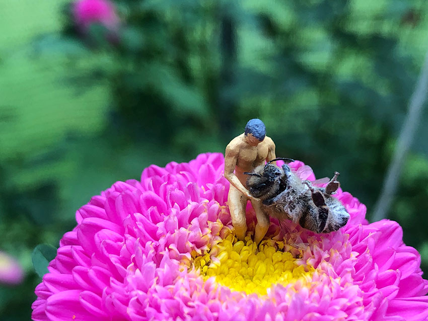 Spielzeugmann sitzt auf einer Blume und hält eine tote Biene