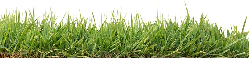 Close up of grass section