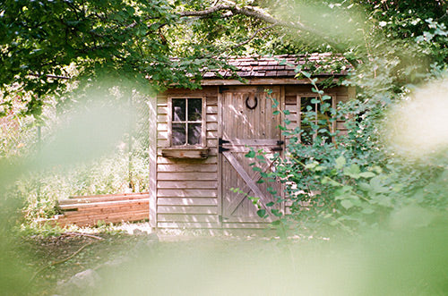 Peeking at a shed through leaves