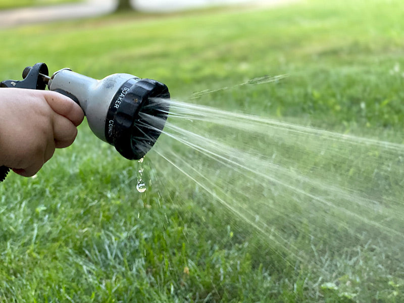 Someone watering their grass with a hose