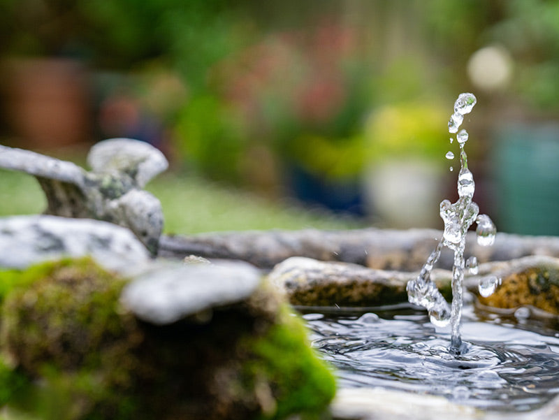 A splash in a water feature
