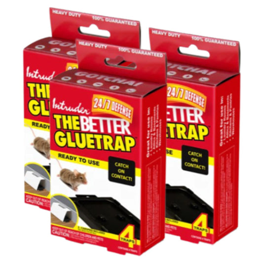 Intruder The Better Mousetrap™, Pack of 6 Traps – Prime Retreat Products