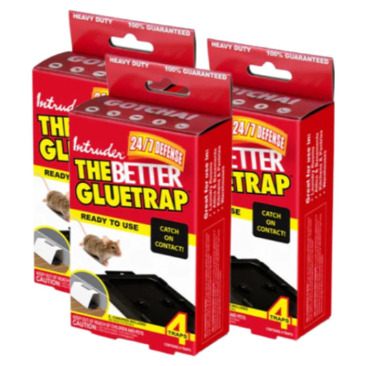 24 Pack Intruder 16000 Better Mouse Trap