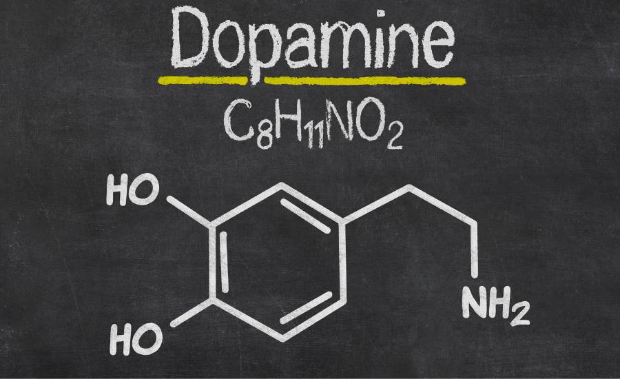 Comprendere la dopamina e il suo ruolo.