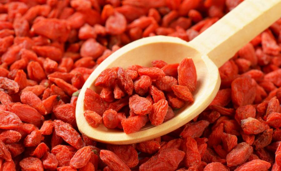 The goji berry, a fruit with multiple benefits.