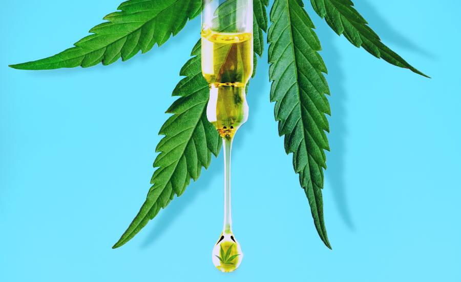 CBD oil taken under the tongue has a very rapid effect and allows you to relax in a natural way. CBD, or cannabidiol, is a natural molecule extracted from the hemp plant (cannabis sativa). Numerous studies have claimed that cannabidiol has therapeutic virtues and helps relieve certain everyday ailments. According to this study, the consumption of cannabidiol could help to: Reduce stress and its negative effects, fight against anxiety and maintain emotional balance Relieve pain and inflammation Promote falling asleep and improve sleep