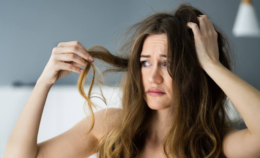 The causes of dry and damaged hair