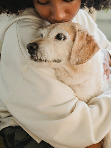 Owner cuddling dog