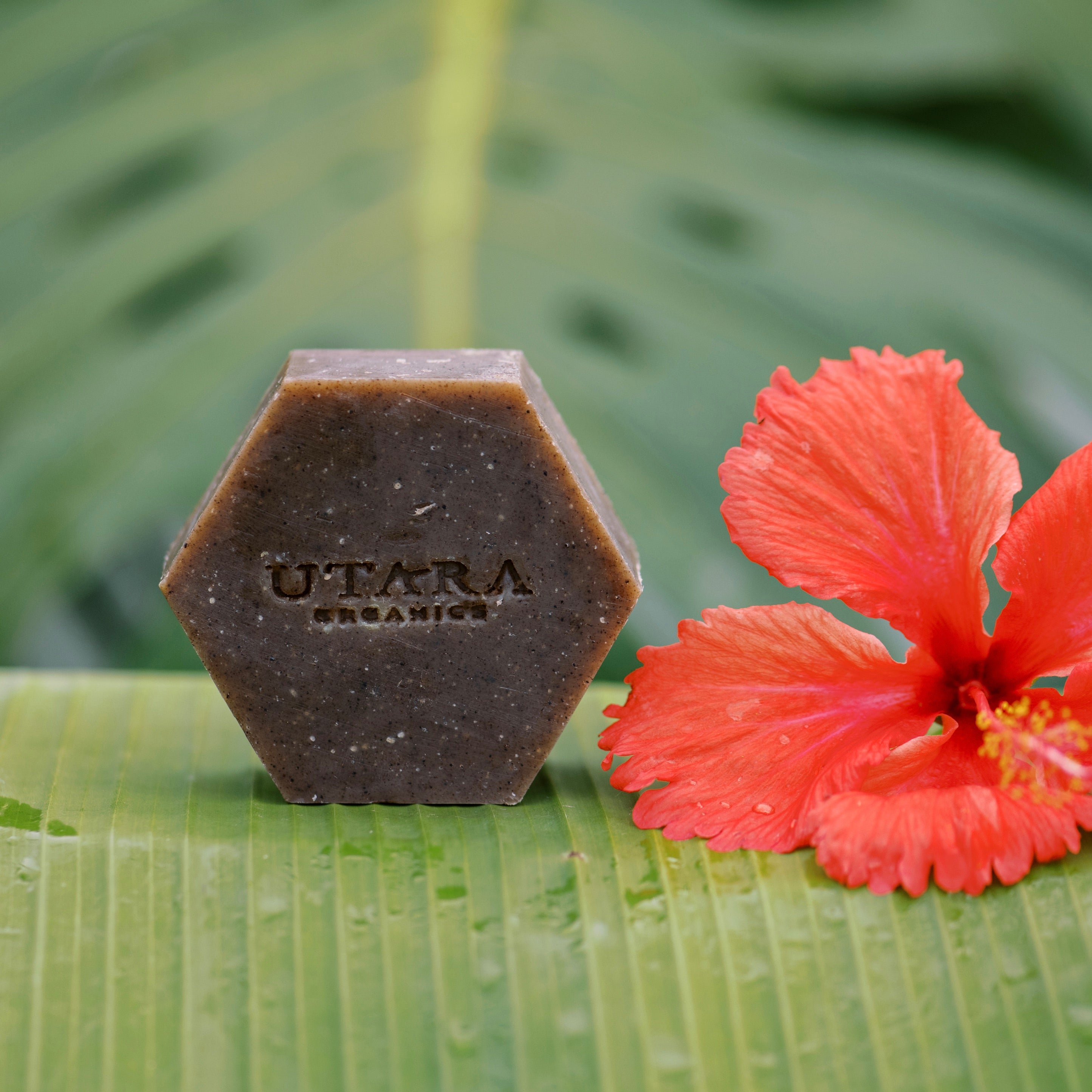 The Utara Bar – UTARA ORGANICS.