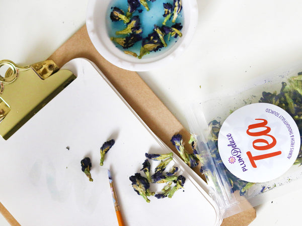 A clipboard with watercolor paper clipped to it sits on a white table. Surrounding it are a paintbrush, a package of butterfly pea flowers, and a white bowl containing pea flowers and water that is turning blue.