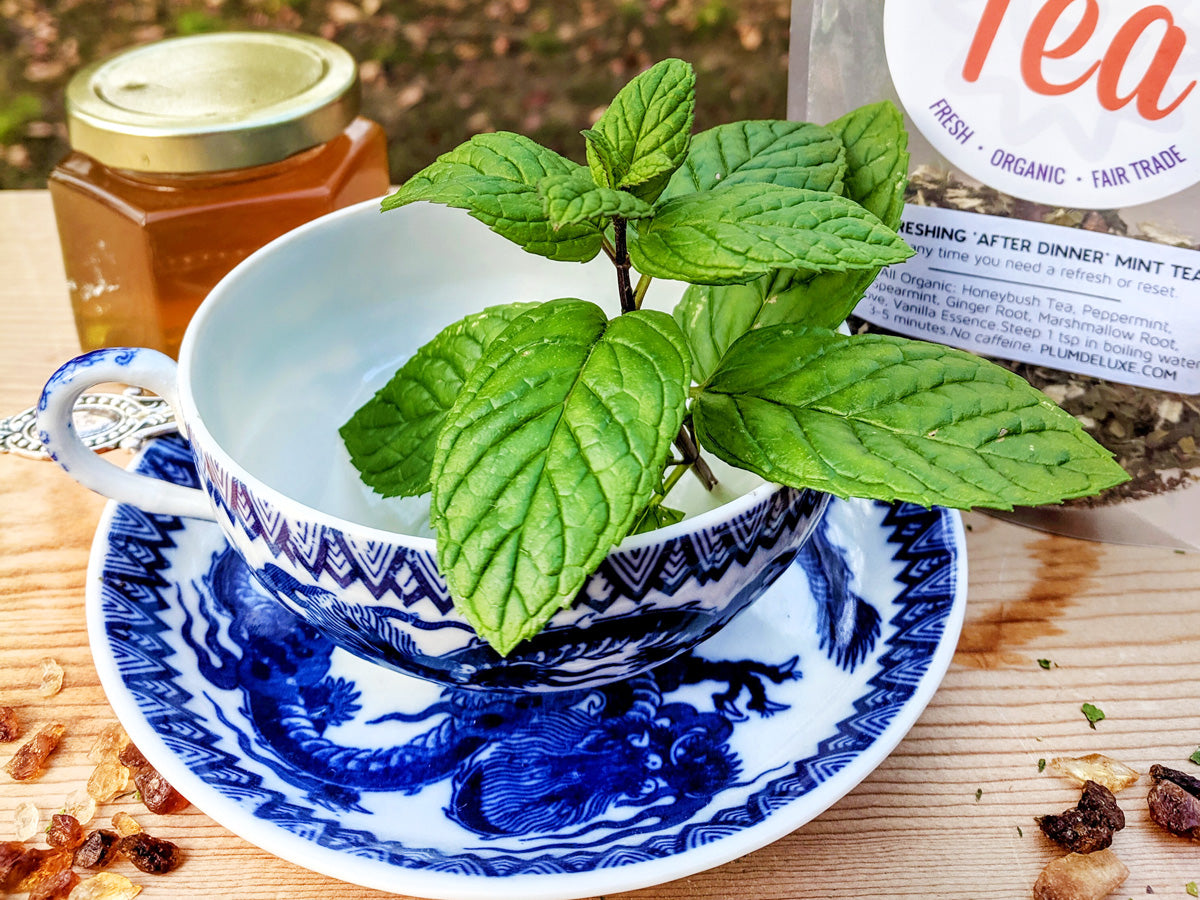 A sprig of fresh mint sticks out of a blue and white patterned teacup resting on a saucer. A jar of honey and a package of Plum Deluxe caffeine free herbal tea sit behind it on a wooden table.