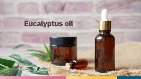 eucalyptus-essential-oil