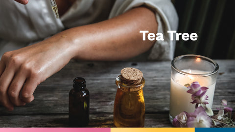 tea-tree-essential-oil